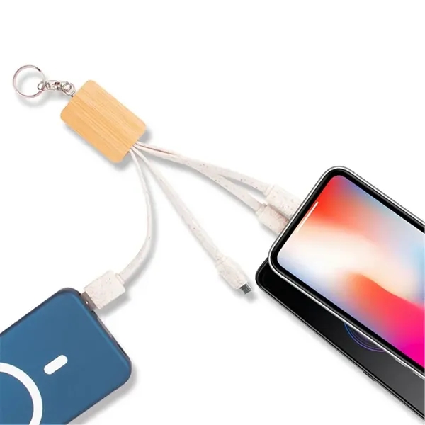 4-in-1 Eco Friendly Wheat Straw Charger USB Cable w/Keychain - 4-in-1 Eco Friendly Wheat Straw Charger USB Cable w/Keychain - Image 1 of 3