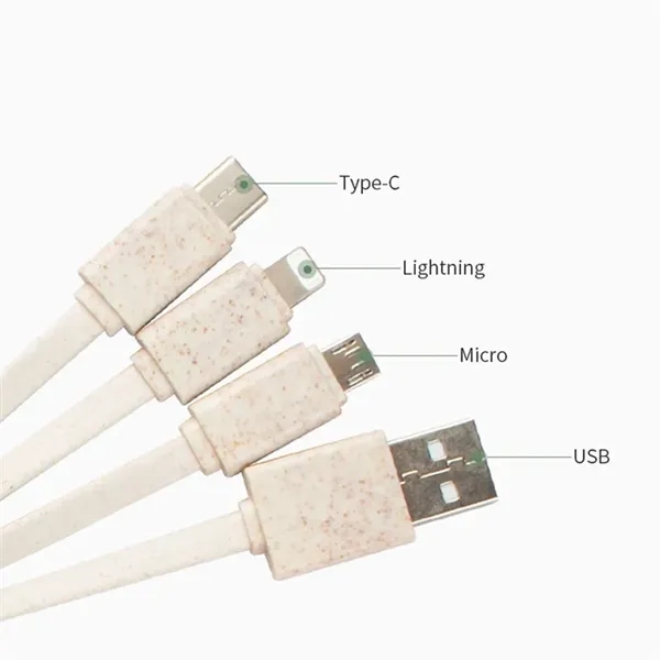 4-in-1 Eco Friendly Wheat Straw Charger USB Cable w/Keychain - 4-in-1 Eco Friendly Wheat Straw Charger USB Cable w/Keychain - Image 3 of 3
