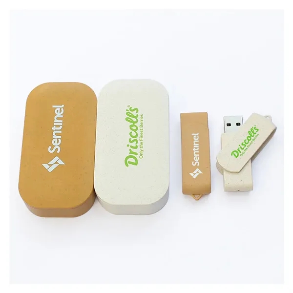 Eco-Friendly Wheat Straw Biodegradable Box USB Flash Drive - Eco-Friendly Wheat Straw Biodegradable Box USB Flash Drive - Image 1 of 4