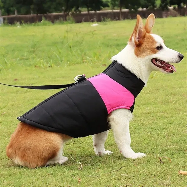 Pet Winter Clothes Waterproof Warm Jacket - Pet Winter Clothes Waterproof Warm Jacket - Image 1 of 2