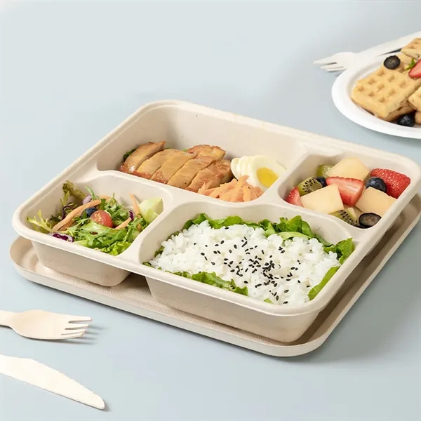 Take Out Food Containers Eco-Friendly Made of Paper Fibers - Take Out Food Containers Eco-Friendly Made of Paper Fibers - Image 0 of 1