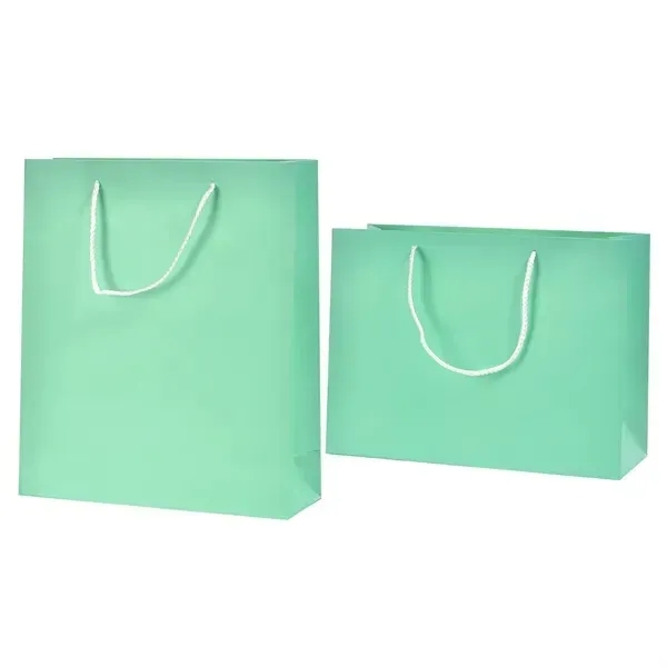 Matte Laminated Paper Shopping Bag - Matte Laminated Paper Shopping Bag - Image 3 of 5