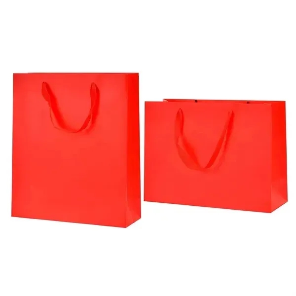 Matte Laminated Paper Shopping Bag - Matte Laminated Paper Shopping Bag - Image 4 of 5