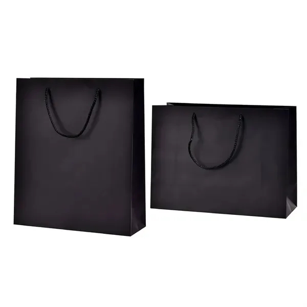 Matte Laminated Paper Shopping Bag - Matte Laminated Paper Shopping Bag - Image 5 of 5