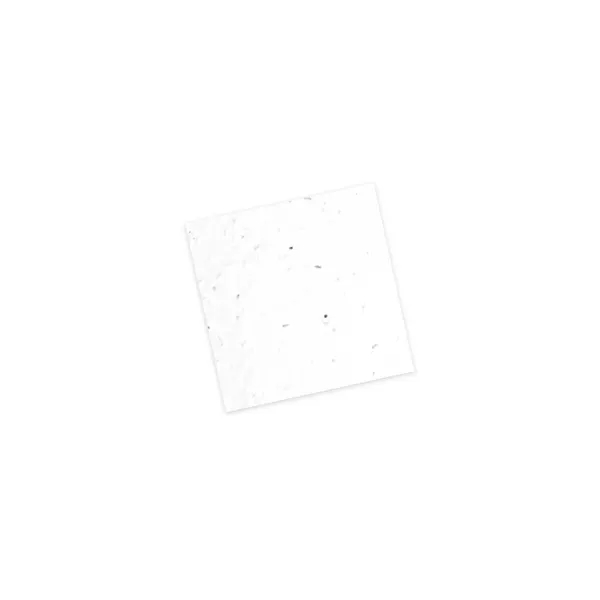 Single-Sided Plantable Square Business Cards - Single-Sided Plantable Square Business Cards - Image 2 of 5