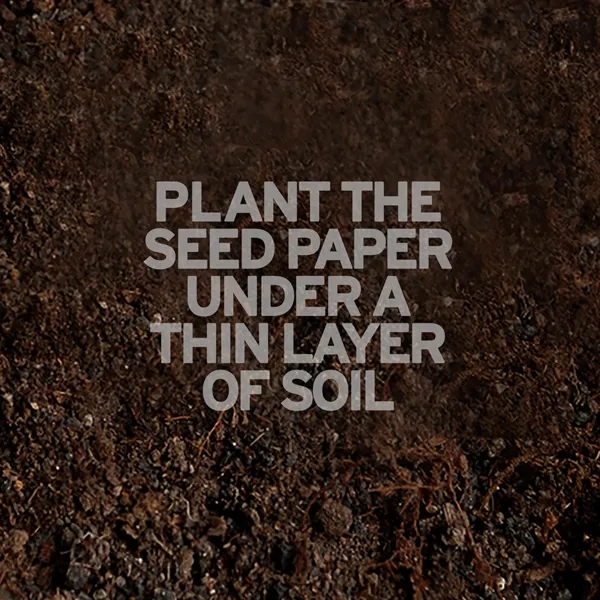 Single-Sided Plantable Square Business Cards - Single-Sided Plantable Square Business Cards - Image 3 of 5