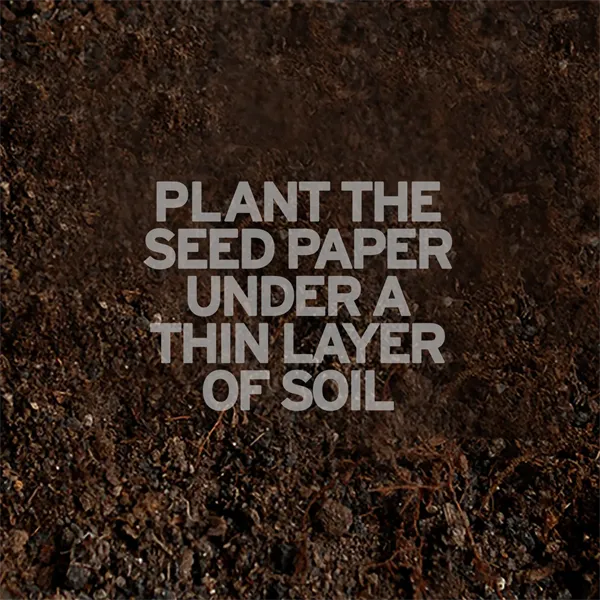 Double-Sided Plantable Business Cards - Double-Sided Plantable Business Cards - Image 3 of 5