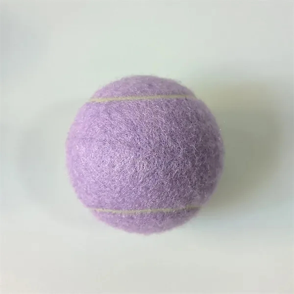 Pet Training Tennis Ball Toy - Pet Training Tennis Ball Toy - Image 5 of 17