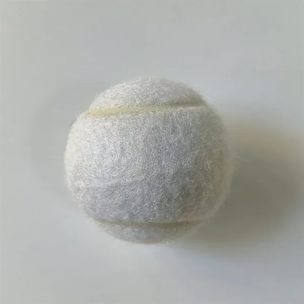 Pet Training Tennis Ball Toy - Pet Training Tennis Ball Toy - Image 1 of 17