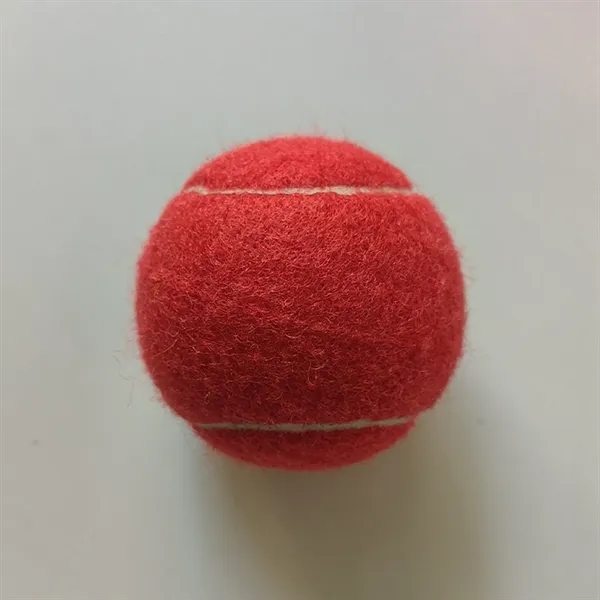 Pet Training Tennis Ball Toy - Pet Training Tennis Ball Toy - Image 2 of 17