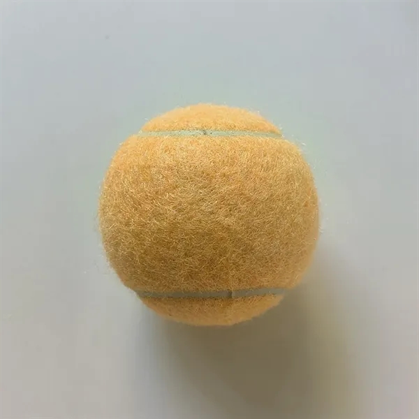Pet Training Tennis Ball Toy - Pet Training Tennis Ball Toy - Image 4 of 17