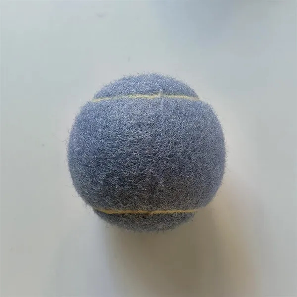 Pet Training Tennis Ball Toy - Pet Training Tennis Ball Toy - Image 6 of 17