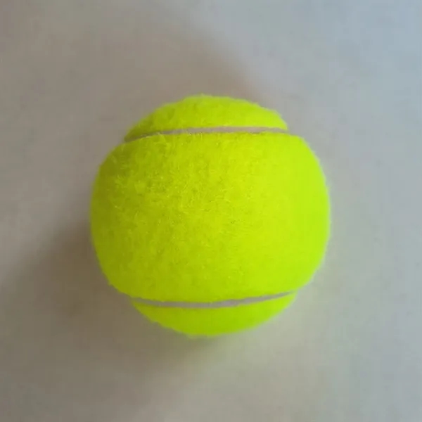 Pet Training Tennis Ball Toy - Pet Training Tennis Ball Toy - Image 7 of 17