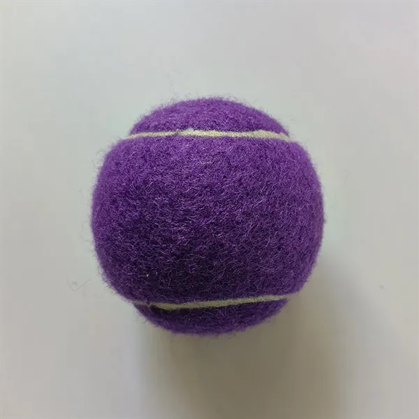 Pet Training Tennis Ball Toy - Pet Training Tennis Ball Toy - Image 8 of 17