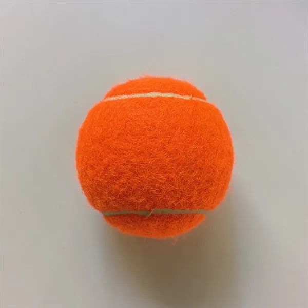 Pet Training Tennis Ball Toy - Pet Training Tennis Ball Toy - Image 9 of 17