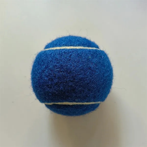 Pet Training Tennis Ball Toy - Pet Training Tennis Ball Toy - Image 10 of 17