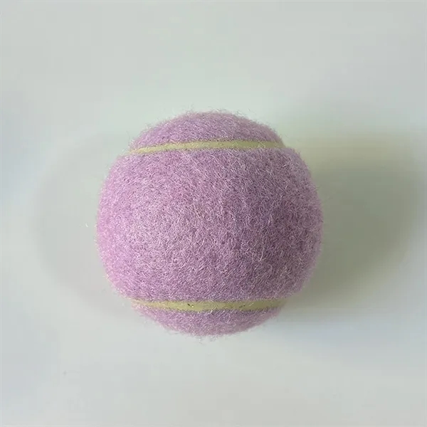 Pet Training Tennis Ball Toy - Pet Training Tennis Ball Toy - Image 11 of 17