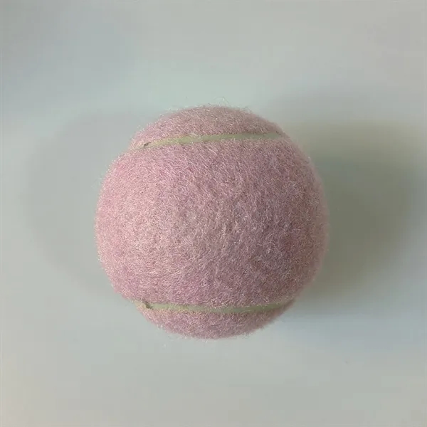 Pet Training Tennis Ball Toy - Pet Training Tennis Ball Toy - Image 12 of 17