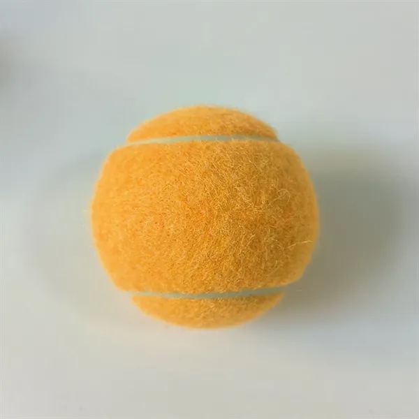 Pet Training Tennis Ball Toy - Pet Training Tennis Ball Toy - Image 13 of 17