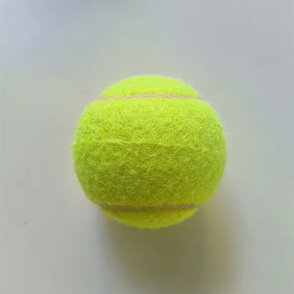 Pet Training Tennis Ball Toy - Pet Training Tennis Ball Toy - Image 14 of 17