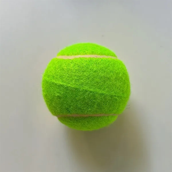 Pet Training Tennis Ball Toy - Pet Training Tennis Ball Toy - Image 15 of 17