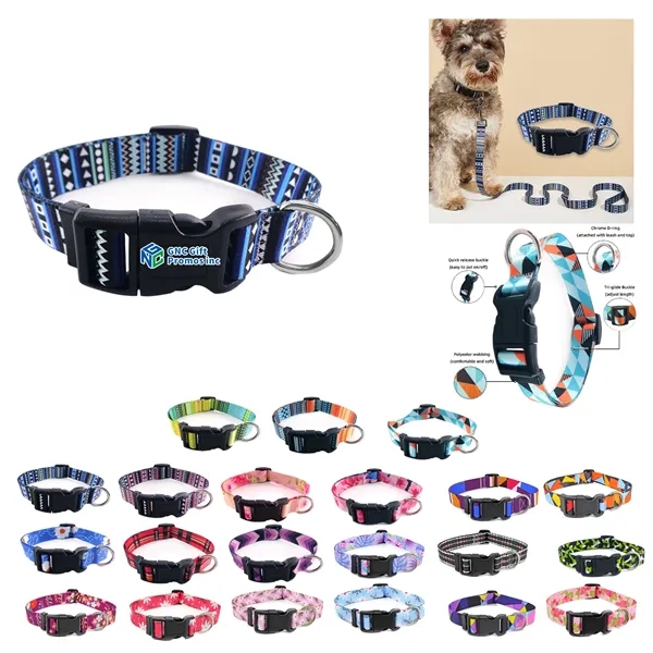 Colorful Pet Collars - Colorful Pet Collars - Image 0 of 22