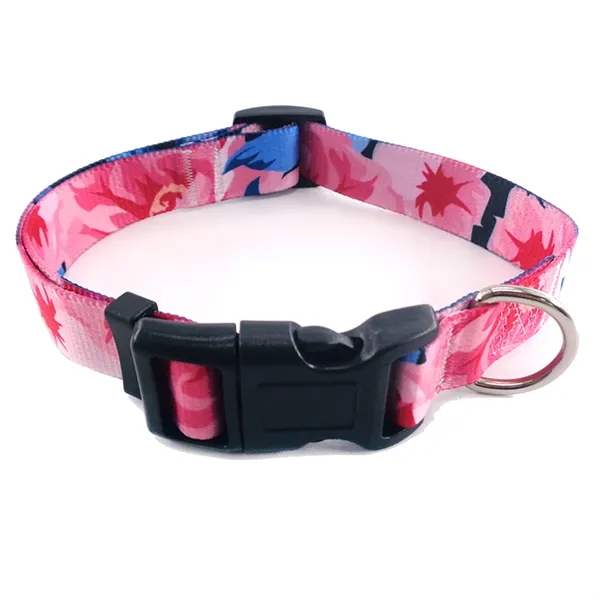 Colorful Pet Collars - Colorful Pet Collars - Image 7 of 22