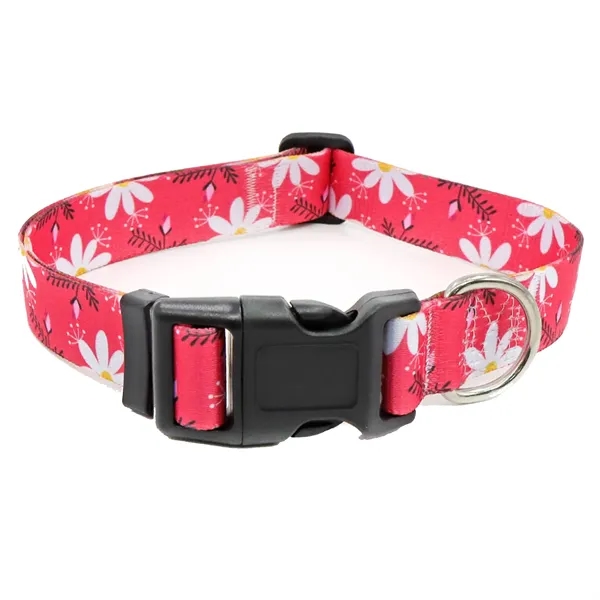 Colorful Pet Collars - Colorful Pet Collars - Image 11 of 22