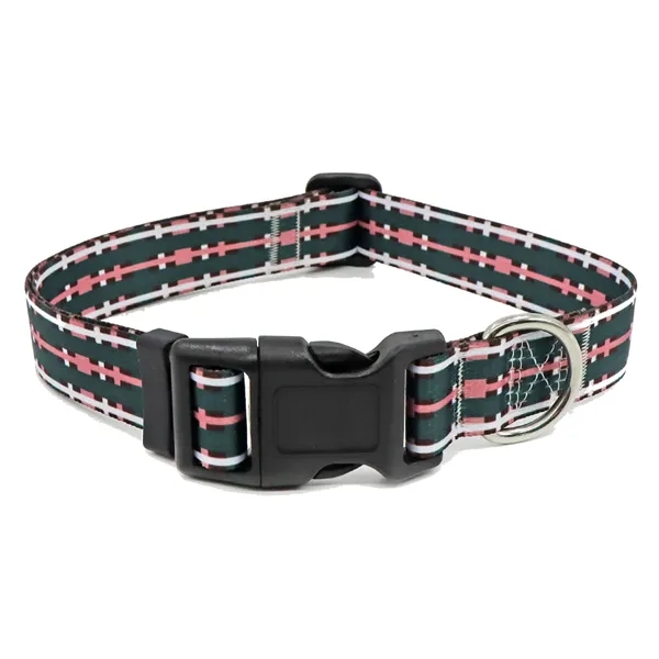 Colorful Pet Collars - Colorful Pet Collars - Image 16 of 22