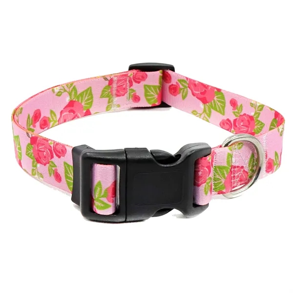 Colorful Pet Collars - Colorful Pet Collars - Image 20 of 22