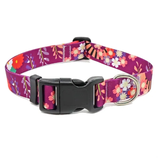 Colorful Pet Collars - Colorful Pet Collars - Image 21 of 22