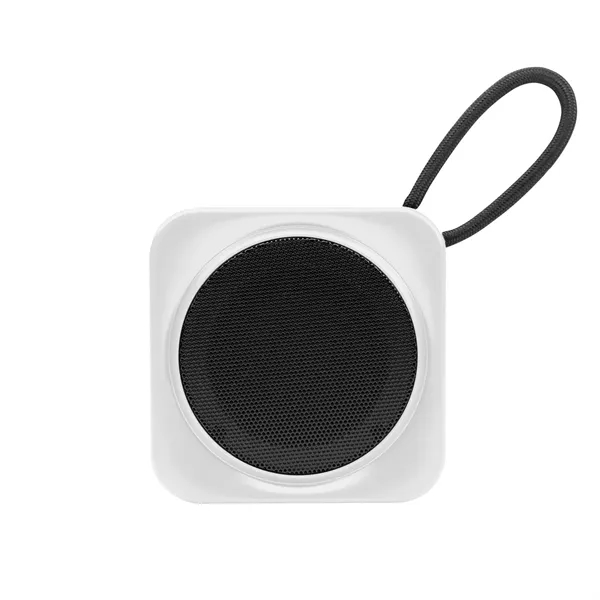 RABS Speaker - RABS Speaker - Image 6 of 8