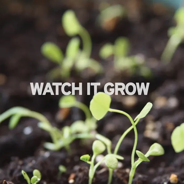 Blooming Earth Large Plantable Bookmarks - Blooming Earth Large Plantable Bookmarks - Image 3 of 4