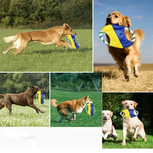 Interactive Frisbee Ring Toy for Dog - Interactive Frisbee Ring Toy for Dog - Image 1 of 6