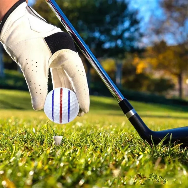 Golf Line Drawing Pen - Golf Line Drawing Pen - Image 2 of 4