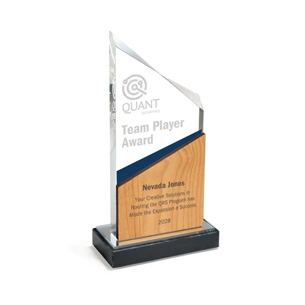 Abstract Cut Acrylic Award