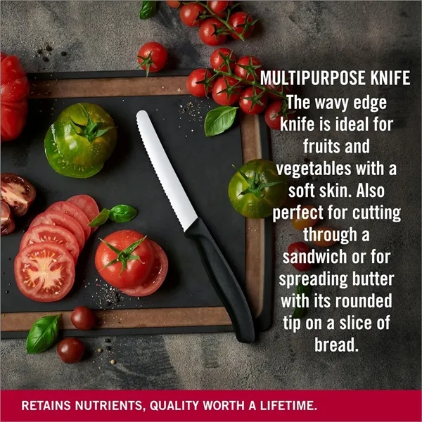 4.3" Stainless Steel Serrated Fruit Knife - 4.3" Stainless Steel Serrated Fruit Knife - Image 5 of 7