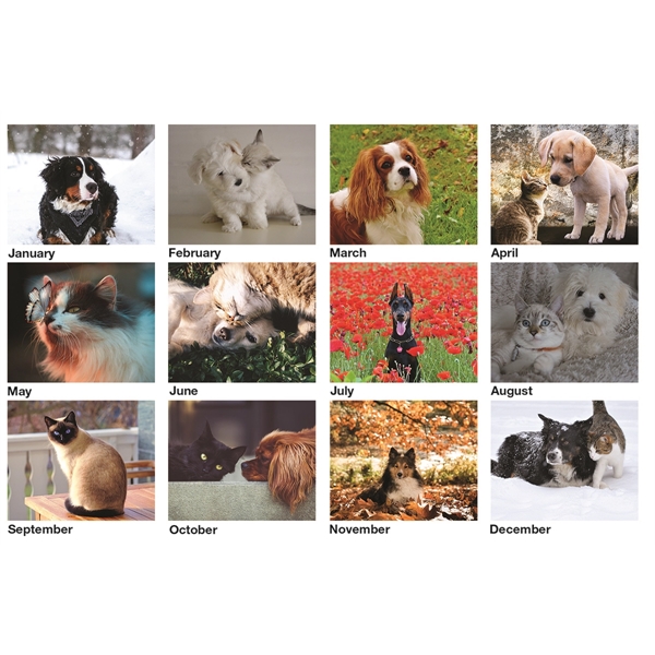 Furever Friends Wall Calendar - Furever Friends Wall Calendar - Image 2 of 2
