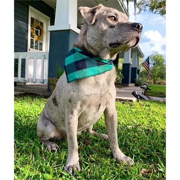 Triangle Pet Buffalo Bandana Plaid Scarf - Triangle Pet Buffalo Bandana Plaid Scarf - Image 2 of 5