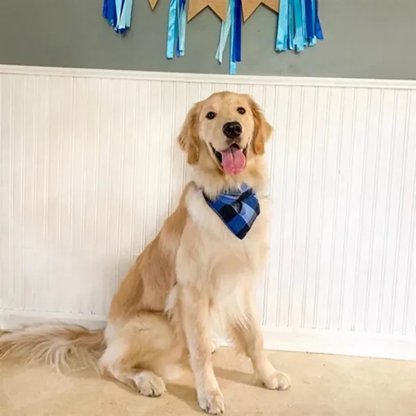 Triangle Pet Buffalo Bandana Plaid Scarf - Triangle Pet Buffalo Bandana Plaid Scarf - Image 5 of 5