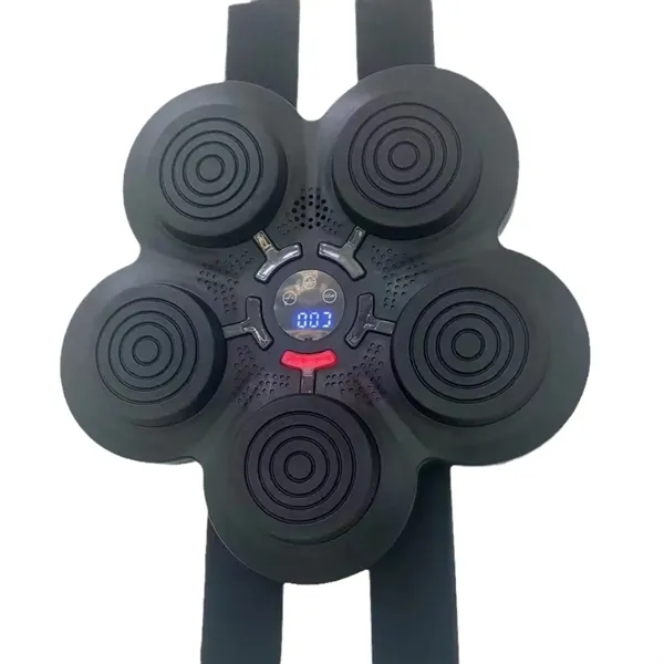 High-Tech Boxing Trainer - High-Tech Boxing Trainer - Image 1 of 5