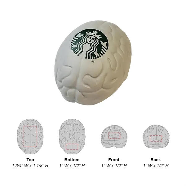 Brain Stress Ball - Brain Stress Ball - Image 17 of 17