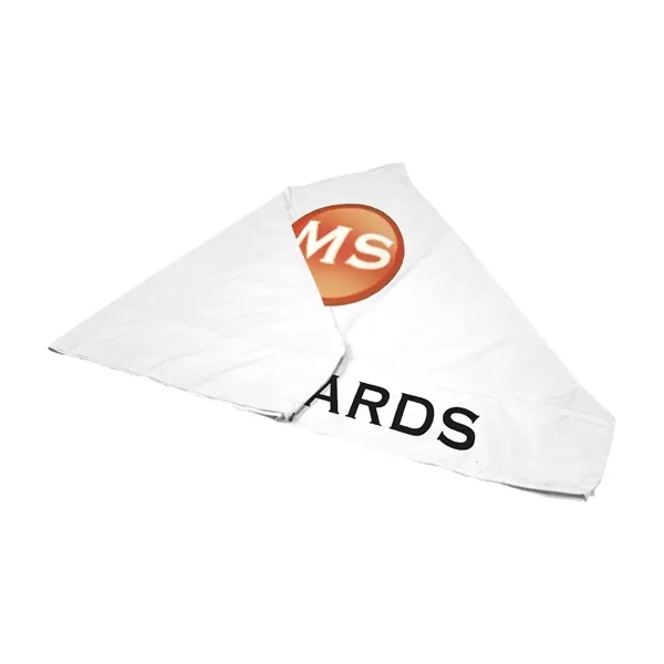 Custom 10' Tent Canopy (Full-Color Imprint, 2 Locations)