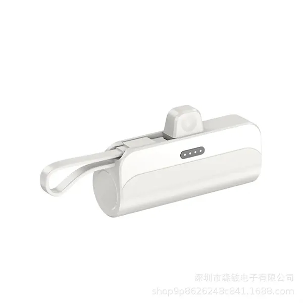 Portable large capacity charging bank - Portable large capacity charging bank - Image 1 of 3