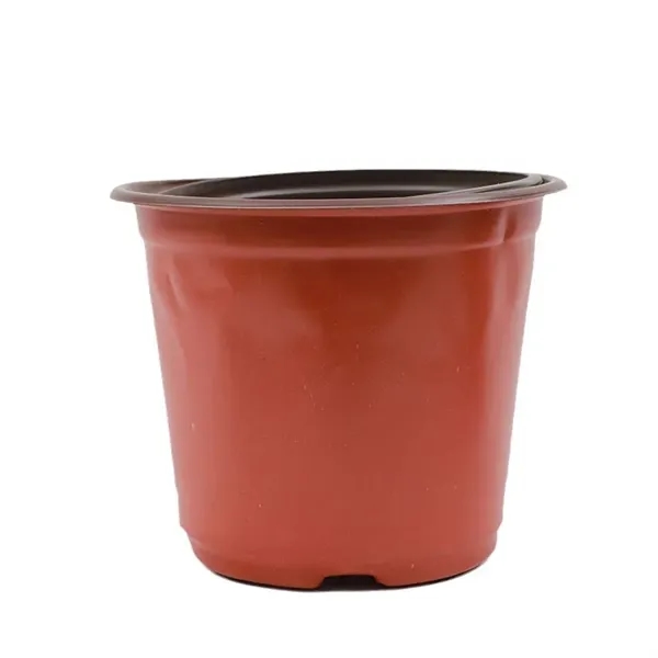 Double color succulent flowerpot - Double color succulent flowerpot - Image 1 of 4