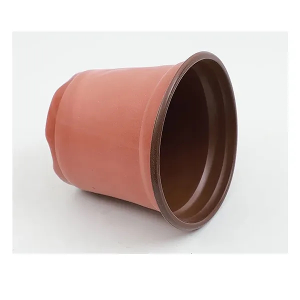 Double color succulent flowerpot - Double color succulent flowerpot - Image 3 of 4