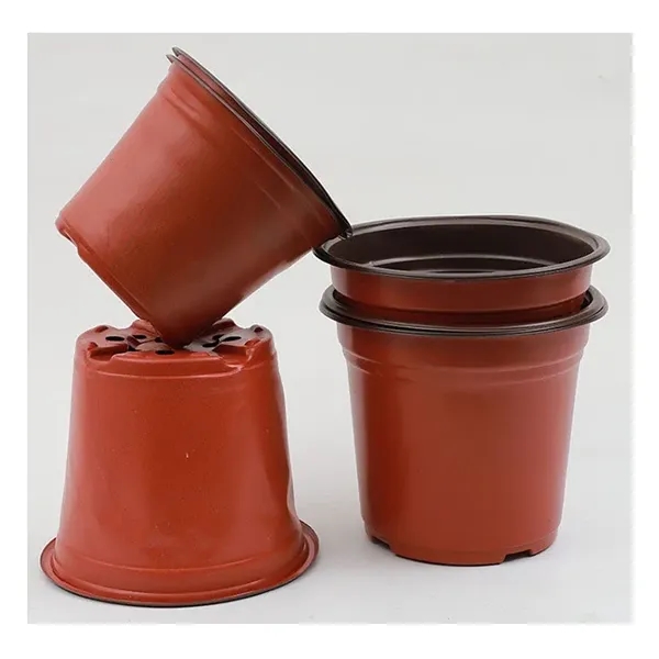 Double color succulent flowerpot - Double color succulent flowerpot - Image 4 of 4