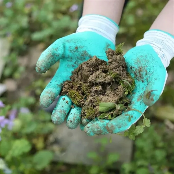 Gardening Gloves - Gardening Gloves - Image 3 of 3