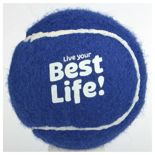 Squeak Dog Toy Tennis Ball Pet Clinic Advertising Favors - Squeak Dog Toy Tennis Ball Pet Clinic Advertising Favors - Image 2 of 4