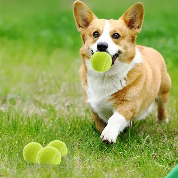 Squeak Dog Toy Tennis Ball Pet Clinic Advertising Favors - Squeak Dog Toy Tennis Ball Pet Clinic Advertising Favors - Image 3 of 4